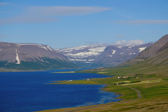 Um er að ræða lax í sjókvíum í Dýrafirði.