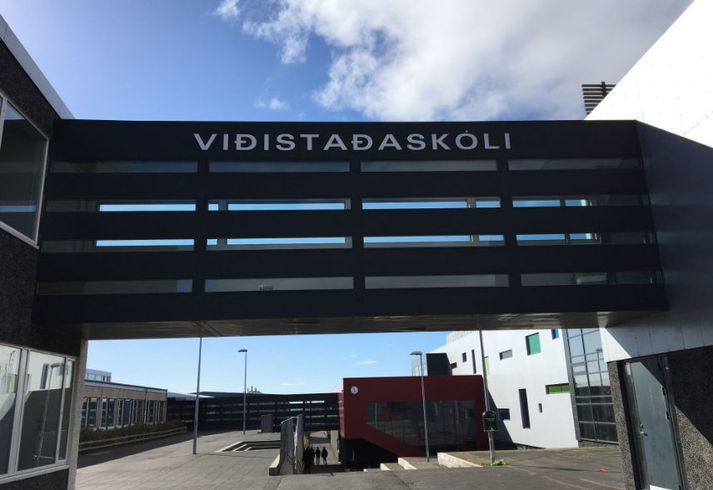 Árásin átti sér stað í grennd við Víðistaðaskóla í Norðurbænum í Hafnarfirði í morgun en þó utan þess svæðis sem öryggismyndavélar skólans ná til.