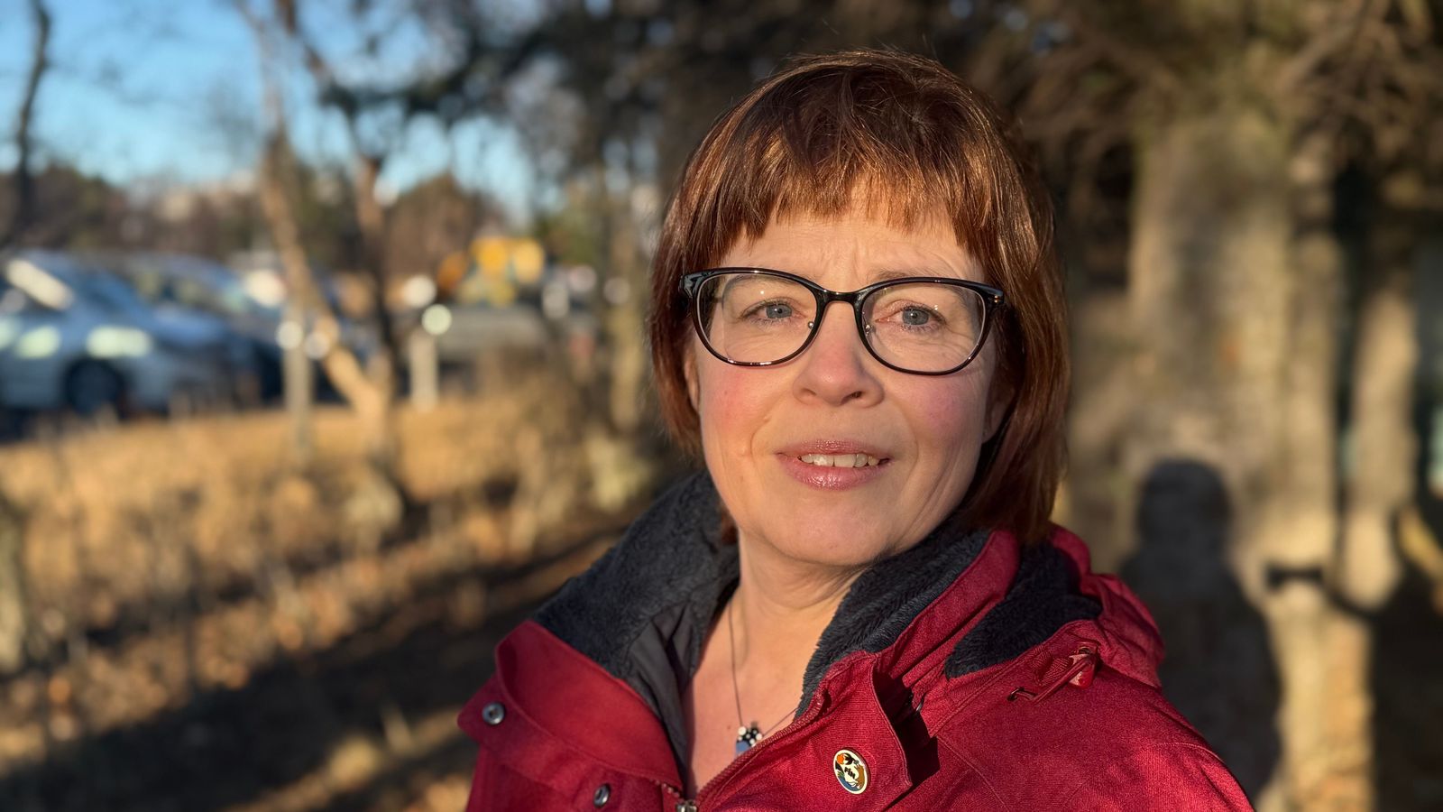 Lægðirnar nái ekki til landsins