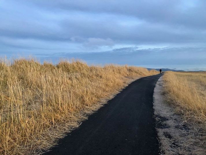 Karl Pétur ætlar að leggja fram tillögu um hámarkshraða á stígum á Seltjarnarnesi