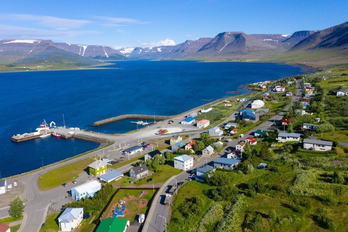 Horft frá Þingeyri inn Dýrafjörð. Jarðgöngin opnast í innanverðum firðinum, um 12 kílómetra frá Þingeyri.