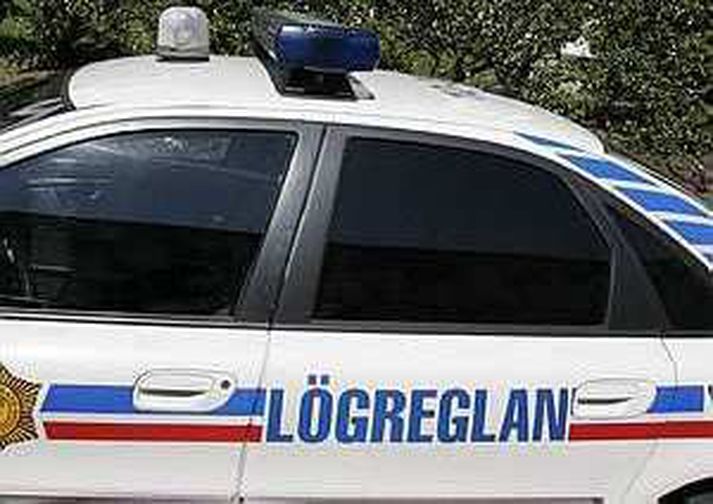 Nóttin var að mestu róleg að sögn lögreglu.
