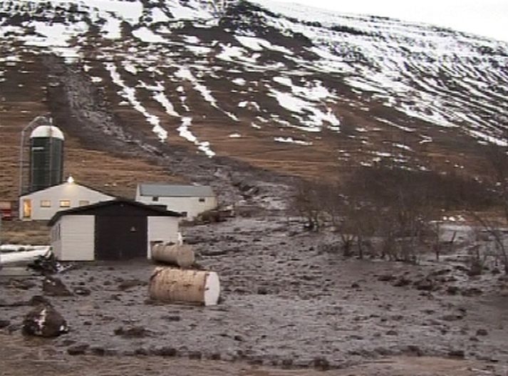 Aurskriða sem féll á Grænuhlíð í gær.