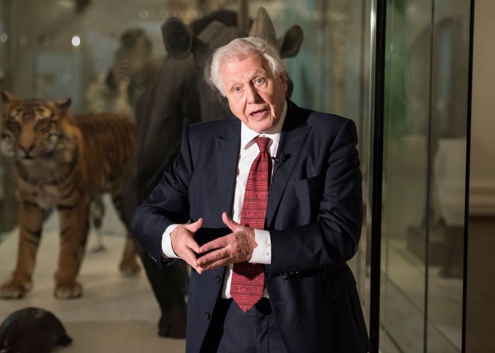 David Attenborough var heiðraður fyrir ævistarf sitt í Ástralíu í febrúar síðastliðnum.