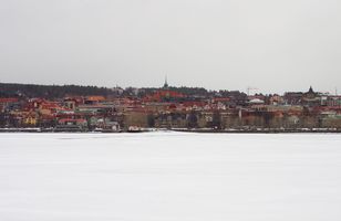 Fréttamynd