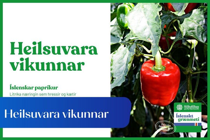Fjöl­hæf og lit­fögur