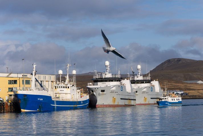 Port w Grinda­víku