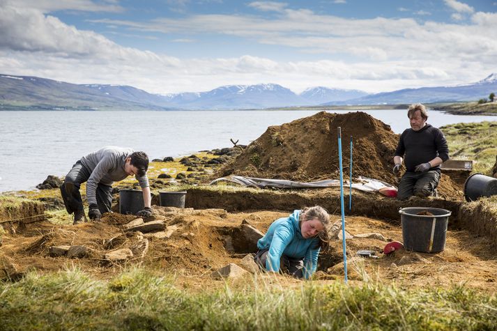 Fornleifafræðingar að störfum á Dysnesi í byrjun vikunnar.