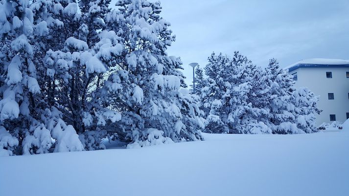 "Í nótt gengu öflug skil inn á sunnanvert landið. Hvessti þá hressilega úr austri og snjóað mikið í landshlutanum; má með sanni segja að höfuðborgin sé á kafi í snjó.“