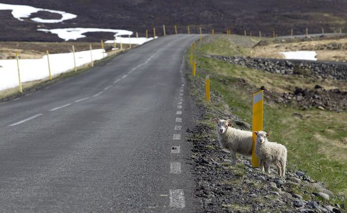 Norðvesturland býr nú þegar yfir hlutfallslega flestum opinberum störfum ef landsbyggðirnar eru skoðaðar. Lagt er til að 130 opinber störf hið minnsta komi til viðbótar inn í landshlutann.