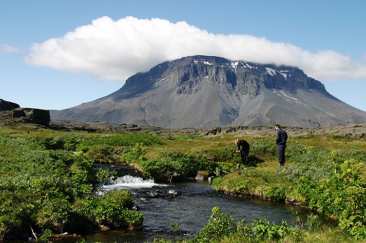 Frá Herðubreiðarlindum