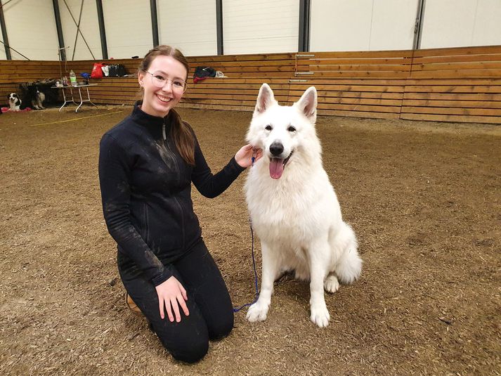 Ingunn Birta og Meiko á hundasýningunni í Ölfusi.