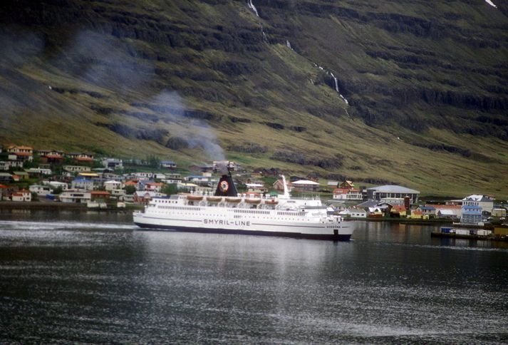 27 ára greindarskertur Hollendingur verður líklega settur í farbann í dag en á í engin hús að vernda.