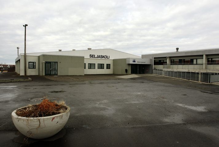 Flugeldur fór inn um rúðu.