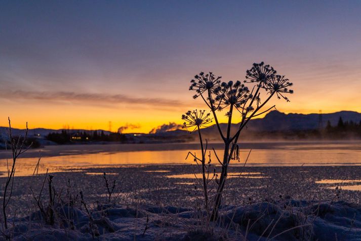 Frost verður yfirleitt á bilinu núll til átta stig í dag.