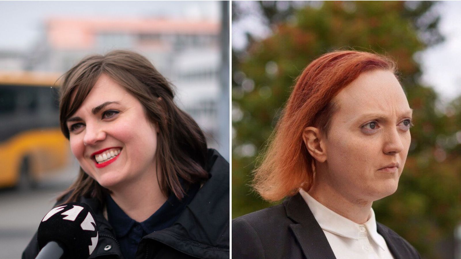 Píratar kjósa for­mann í lok mánaðar