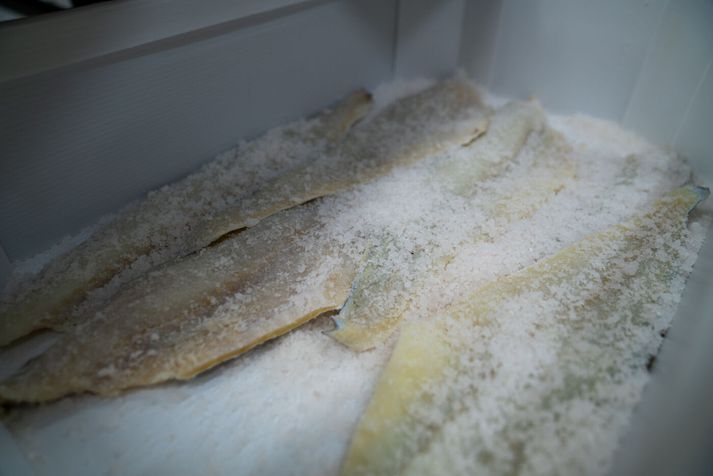 Einungis barst ein tilkynning um hópuppsögn inn á borð Vinnumálastofnunar í október.