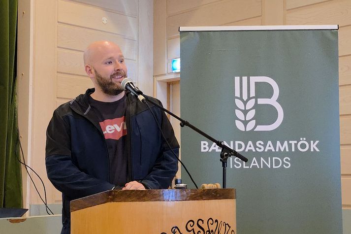 Daði Geir Samúelsson fjármálastjóri ylræktarstöðvanna Sólskinsgrænmetis.