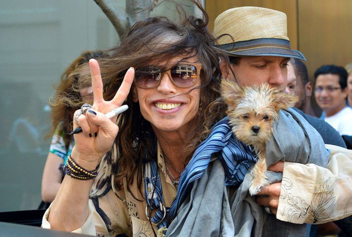Steven Tyler neyddist að eigin sögn til að setjast í dómarasæti í American Idol á meðan rifrildið milli hans og félaganna í Aerosmith gekk yfir.