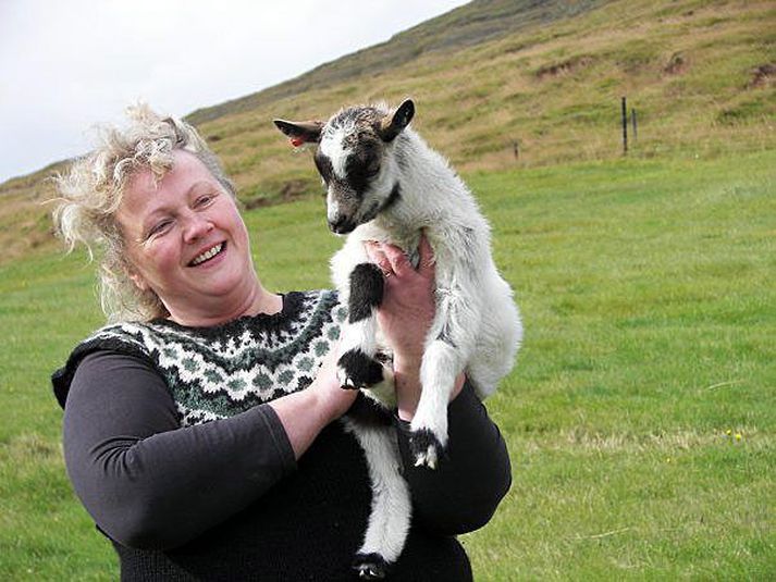 Framtíð hornóttra sem og kollóttra er í tvísýnu á Háafelli. Jóhanna bíður svars frá ráðherra sem hvatti forvera sinn til að bregðast við þeirri hættu sem steðjaði að íslenska geitfjárstofninum.