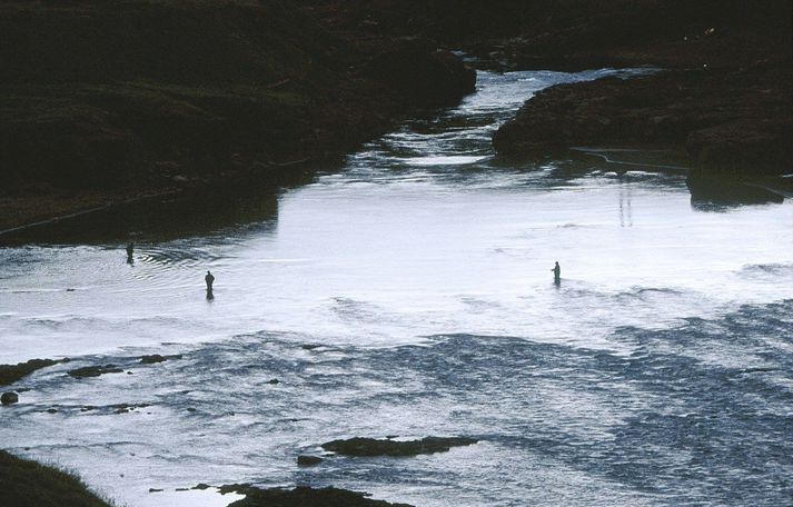 Breiðan í Blöndu