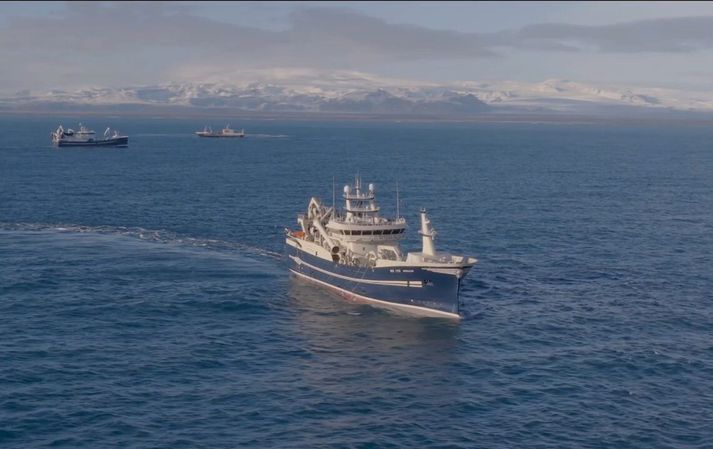 Loðnuskipin voru í dag á veiðum á Kötlugrunni. Mýrdalsjökull í baksýn.