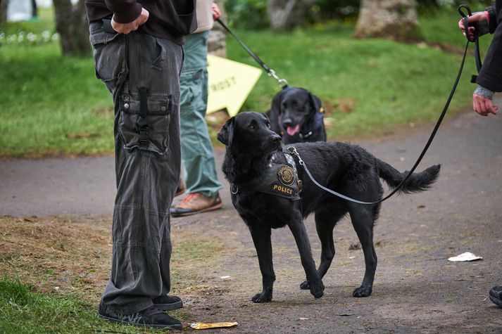 Norska lögreglan fór með fíkniefnahund í skóla.