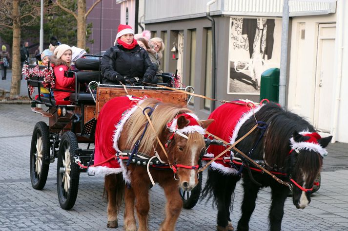 Jólaþorpshestarnir á ferðinni nú á aðventunni.