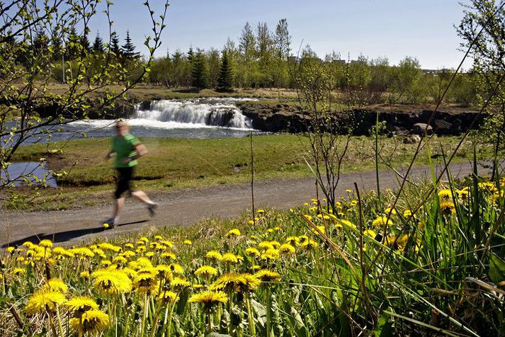 Fáir árekstrar í gegnum tíðina segir formaður SVFR.