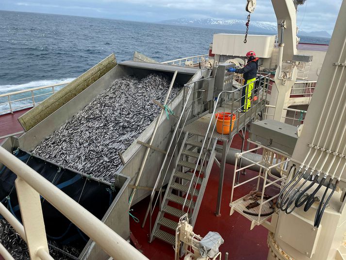 Loðnuveiðarnar eru gríðarlega mikilvægar og ljóst að skaðinn af verkfalli yrði verulegur.