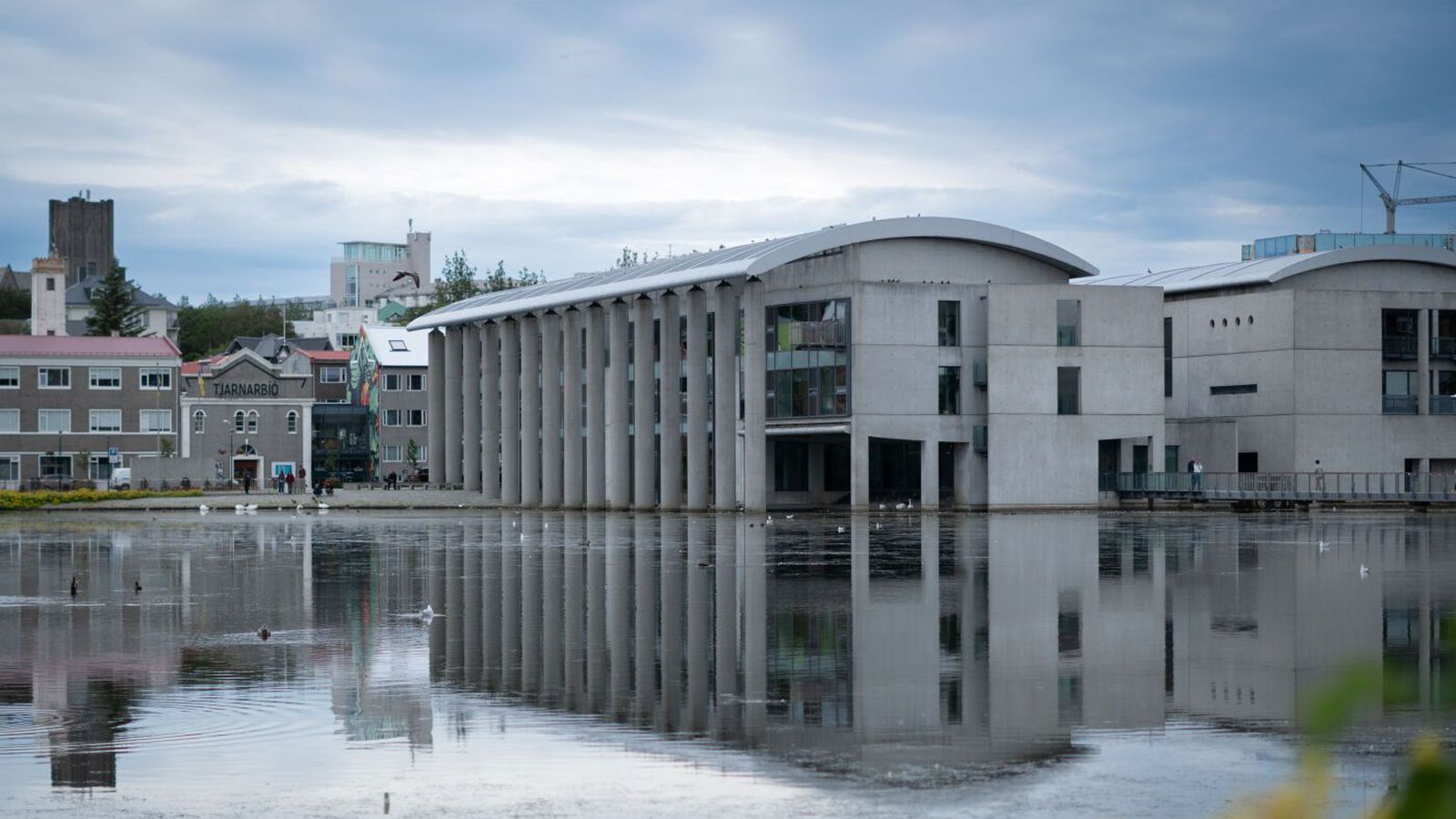 Vilja fjölga hólmum í Reykja­víkur­tjörn og frið­lýsa fjöru við Skerja­fjörð og Ægi­síðu