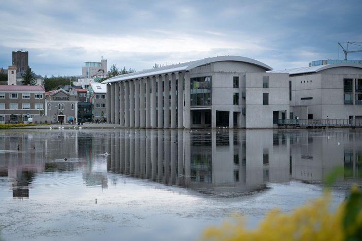 Í stefnunni er lagt til að hólmum í Reykjavíkurtjörn verði fjölgað. Í dag eru tveir hólmar á tjörninni. 