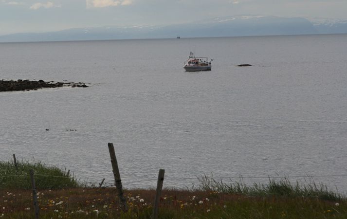 Frá strandstað.