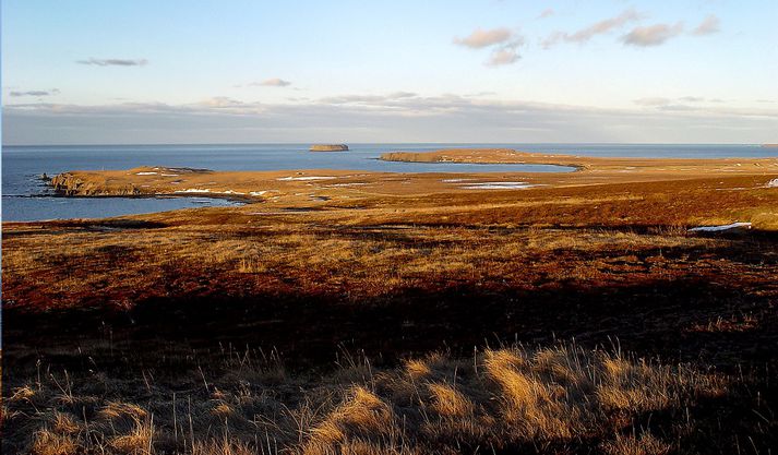 Bakki við Húsavík.