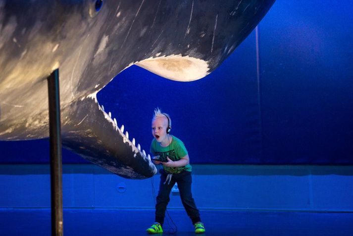 Whales of Iceland has a huge display of life-sized model whales.