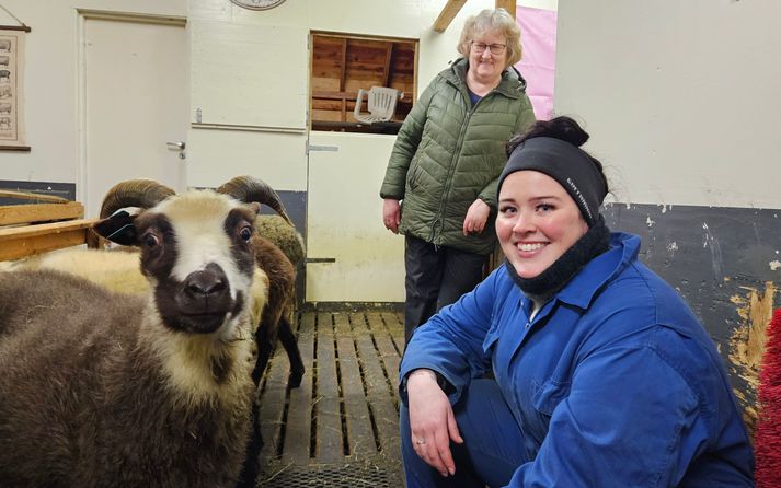 Vinkonurnar, Ólöf Helga Haraldsdóttir á Eyrarbakka og Erna Gísladóttir fjárbændur á Eyrarbakka, ásamt kindinni Mæju.