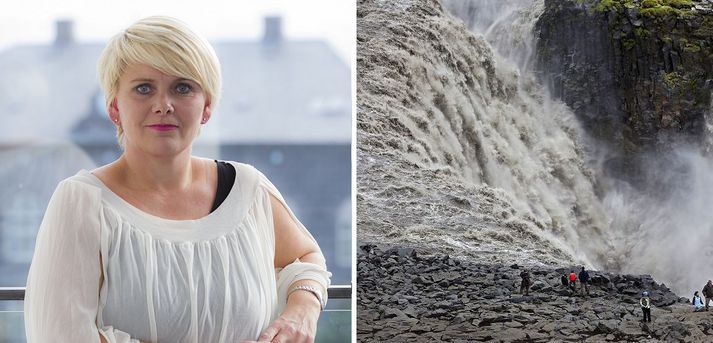 Landeigendur í Reykjahlíð ætla að innheimta gjald af ferðamönnum sem skoða náttúruperlurnar Dettifoss, Námaskarð og Leirhnjúk í sumar.