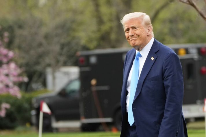 Donald Trump, forseti Bandaríkjanna, er sagður vilja „stóra og einfalda“ áætlun um tolla.