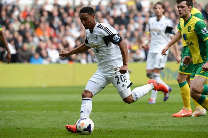 De Guzman varð deildarbikarmeistari með Swansea 2013.