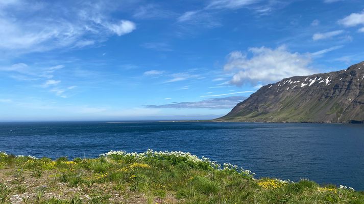 Mikill hiti hefur verið á Norðurlandi í dag. Þessi mynd er tekin á Siglufirði.