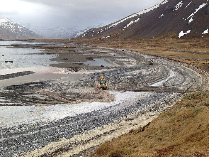 Erfitt hefur reynst að vinna að hreinsun vegna veðuraðstæðna. Með hlýnandi veðri eykst rotnun og lyktin í firðinum er stæk.