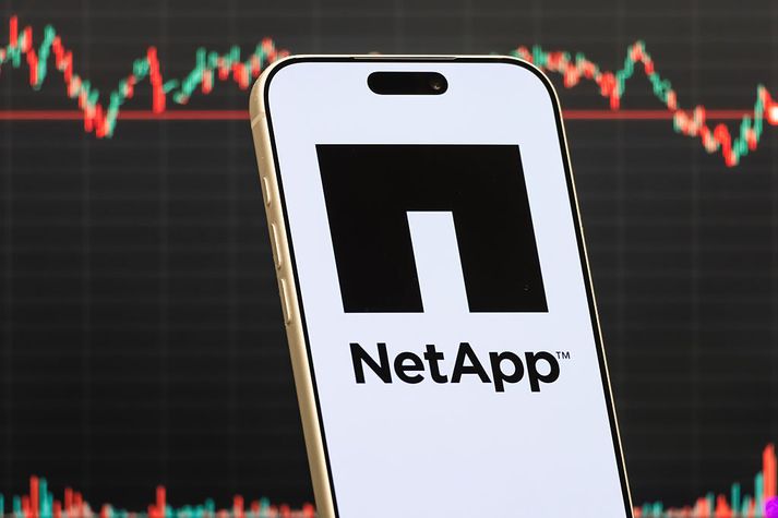 NetApp er fjölþjóðlegt fyrirtæki sem sérhæfir sig í gagnageymslu og skýþjónustu. Íslenska skrifstofan vann að þróunar- og rannsóknarmálum.