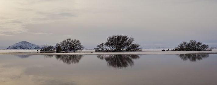 Spegilslétt Mývatn á fallegum vetrardegi