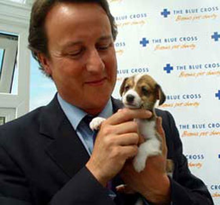 David Cameron; næsti forsætisráðherra Bretlands?