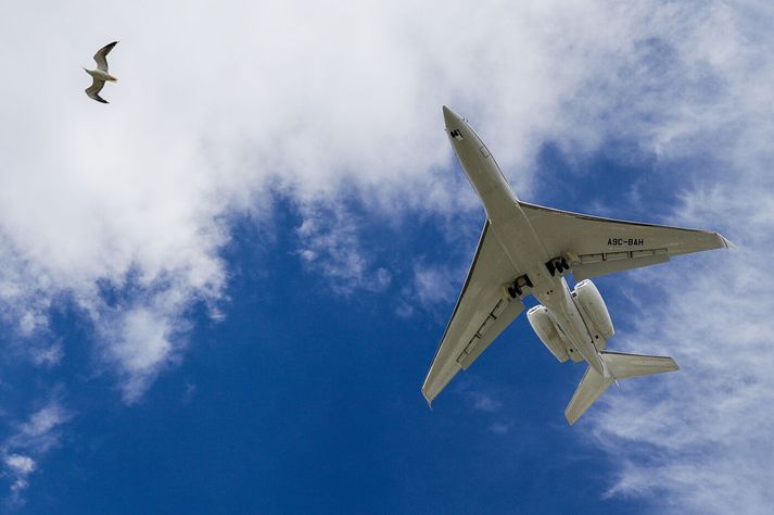 Einkaþota kemur til lendingar á Reykjavíkurflugvelli. ACE FBO var bæði með starfsemi þar og á Keflavíkurflugvelli en missti leyfi sitt í janúar.