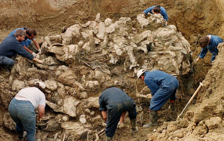 Fjöldagrafir er víða að finna í Bosníu og Hersegóvínu. Leiðtogar Bosníu-Serba, þeir Ratko Mladic og Radovan Karadzic eru nú í haldi og hafa verið ákærðir fyrir glæpi gegn mannkyninu og þjóðarmorð. Fréttablaðið/AP
