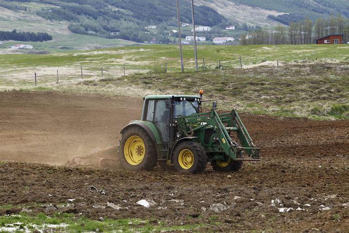Margir bændur urðu fyrir tjóni vegna kals og óvenjulegrar veðráttu síðasta vetur. 