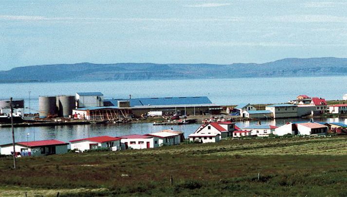 Frá Þórshöfn Árásarmaðurinn réðist inn á heimili mannsins á Þórshöfn. Lögregla handtók hann þar, en sleppti svo lausum eftir að málsatvik urðu ljós.