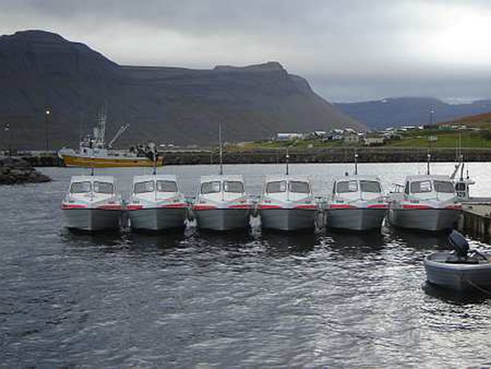 Vestfirðingar vilja kynna sér olíuhreinsunarstöðvar