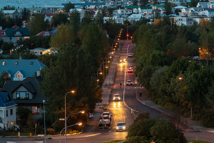 Konan fannst látin í íbúð í Reykjavík að kvöldi 24. janúar 2018.